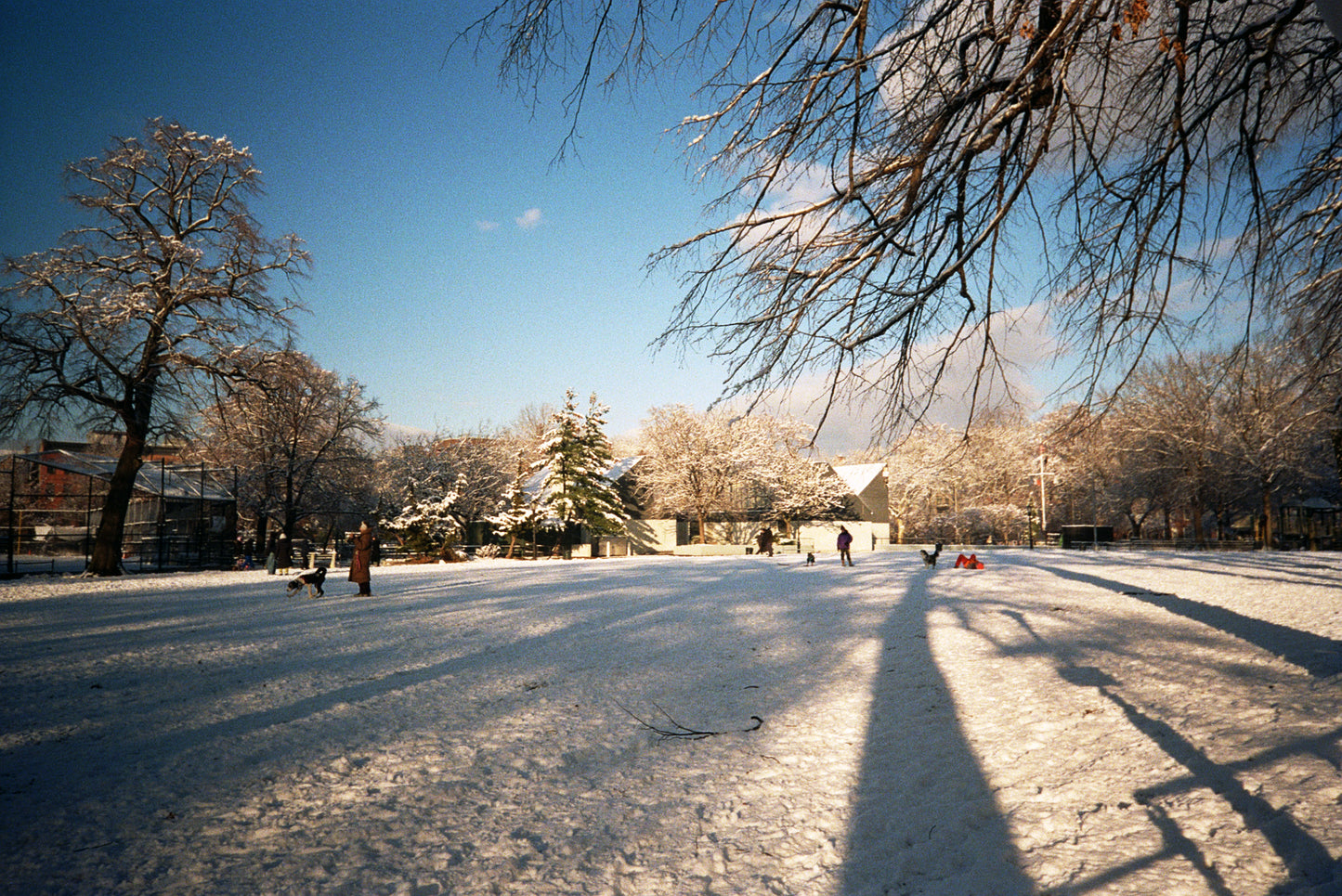 Disposable Camera Processing