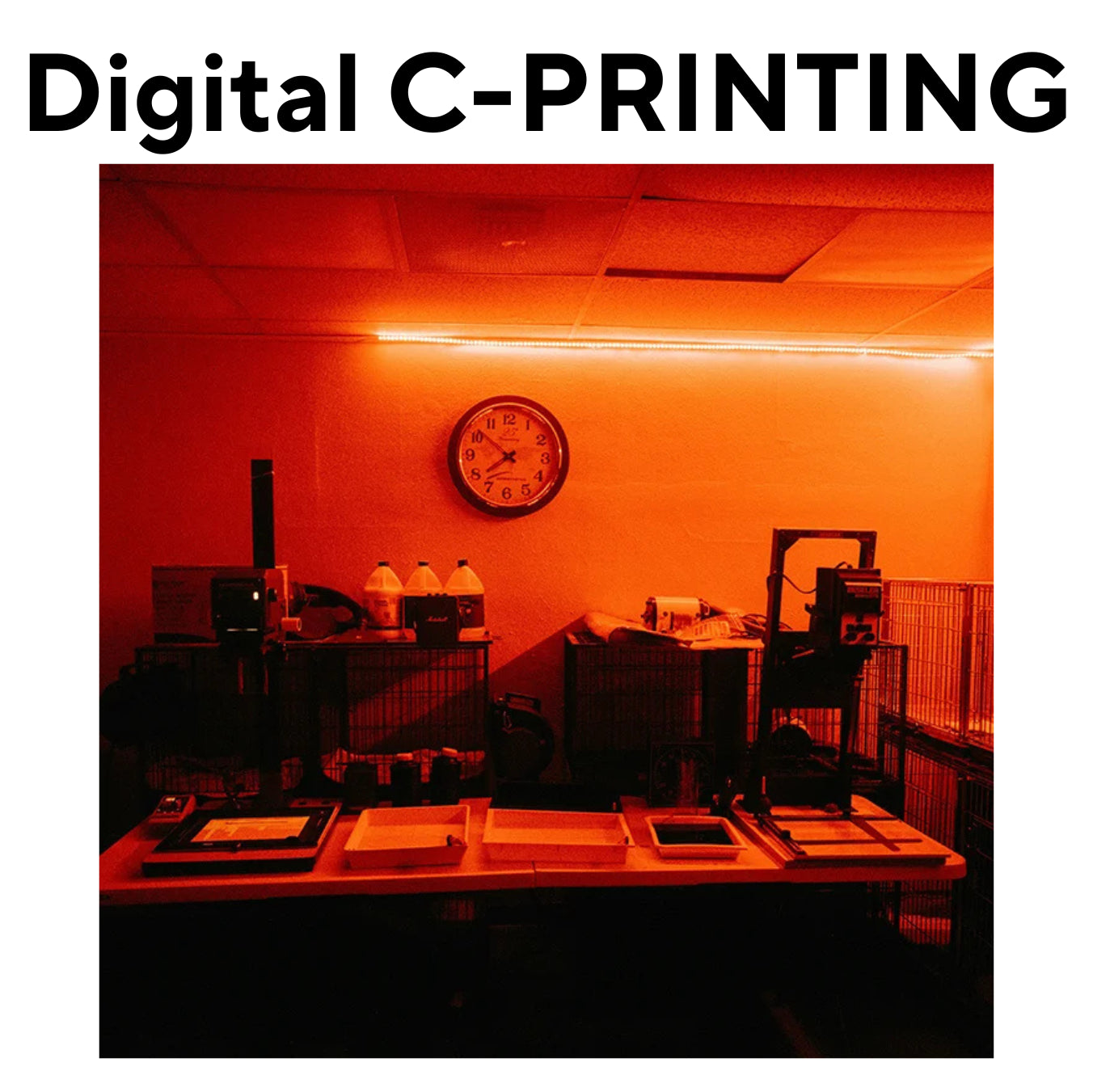 Digital C-Prints