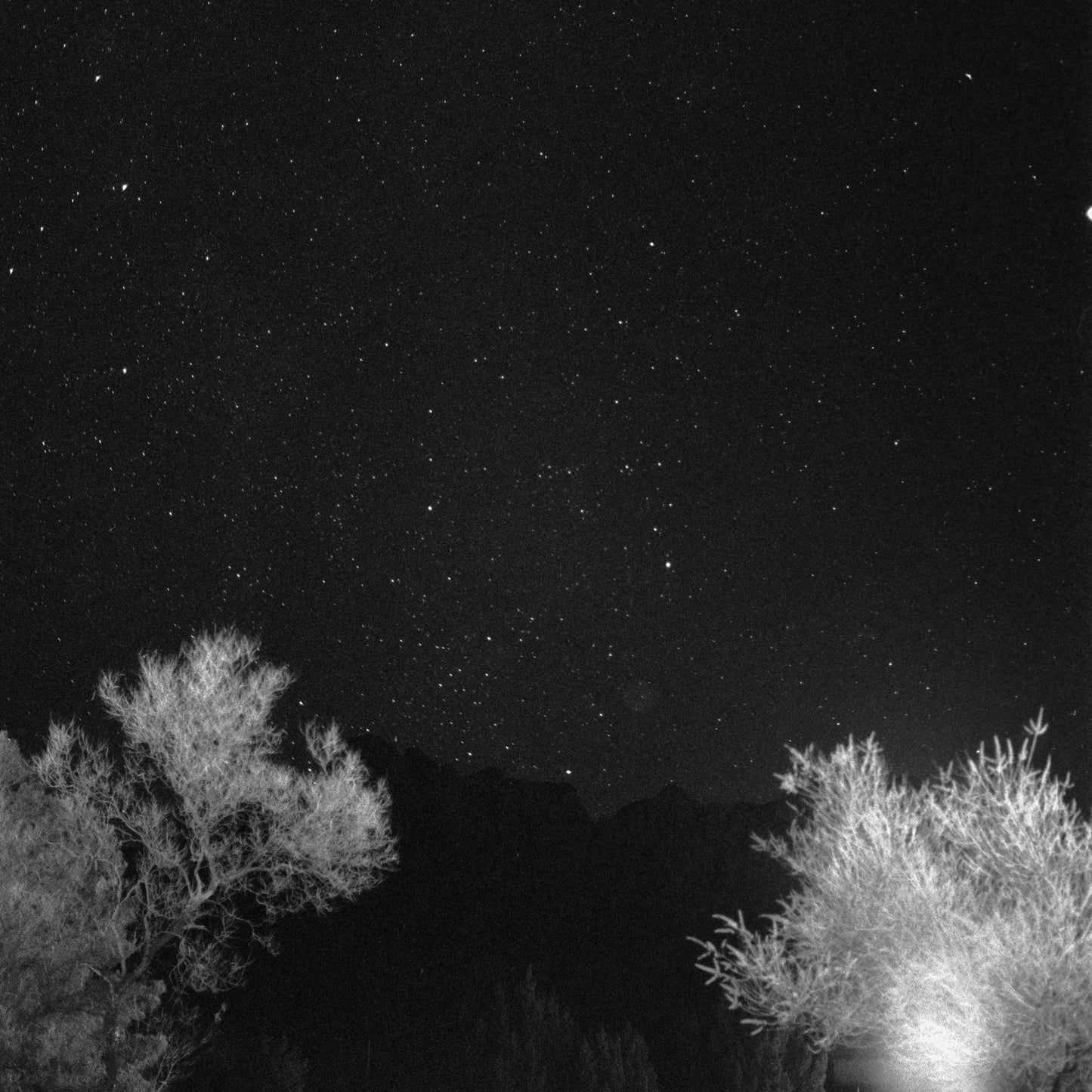 Ilford Delta 3200 Professional Black and White Negative Film (35mm Roll Film, 36 Exposures)