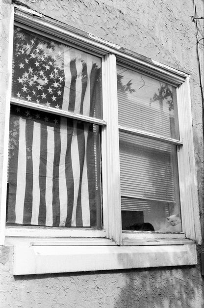 B&W Film Develop + Scan [35mm & 120]