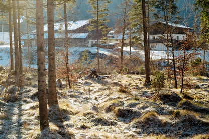 Kodak Ultra Max 400 35mm Color Film