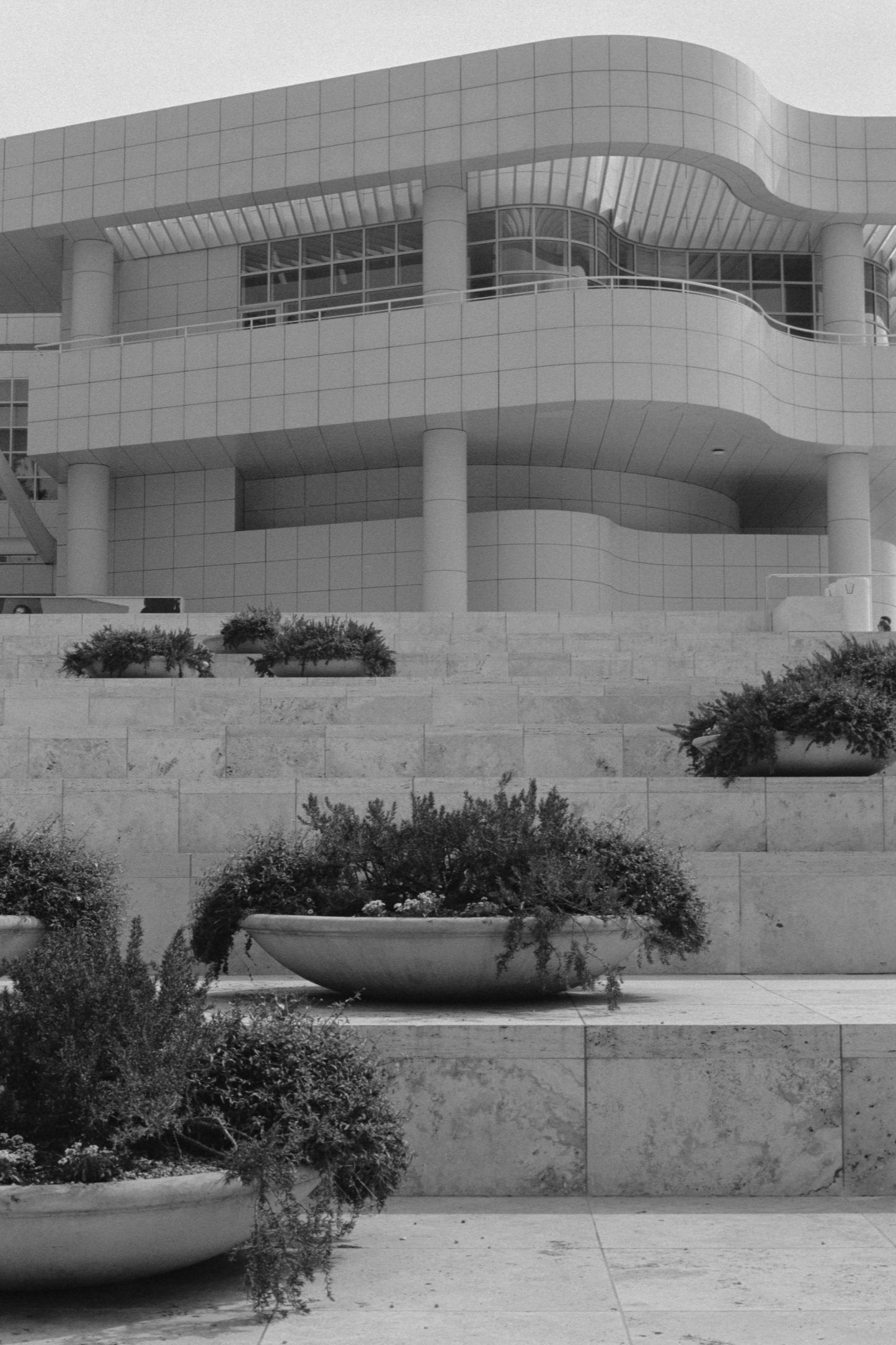 Kodak Tri-X 400 Black and White Film
