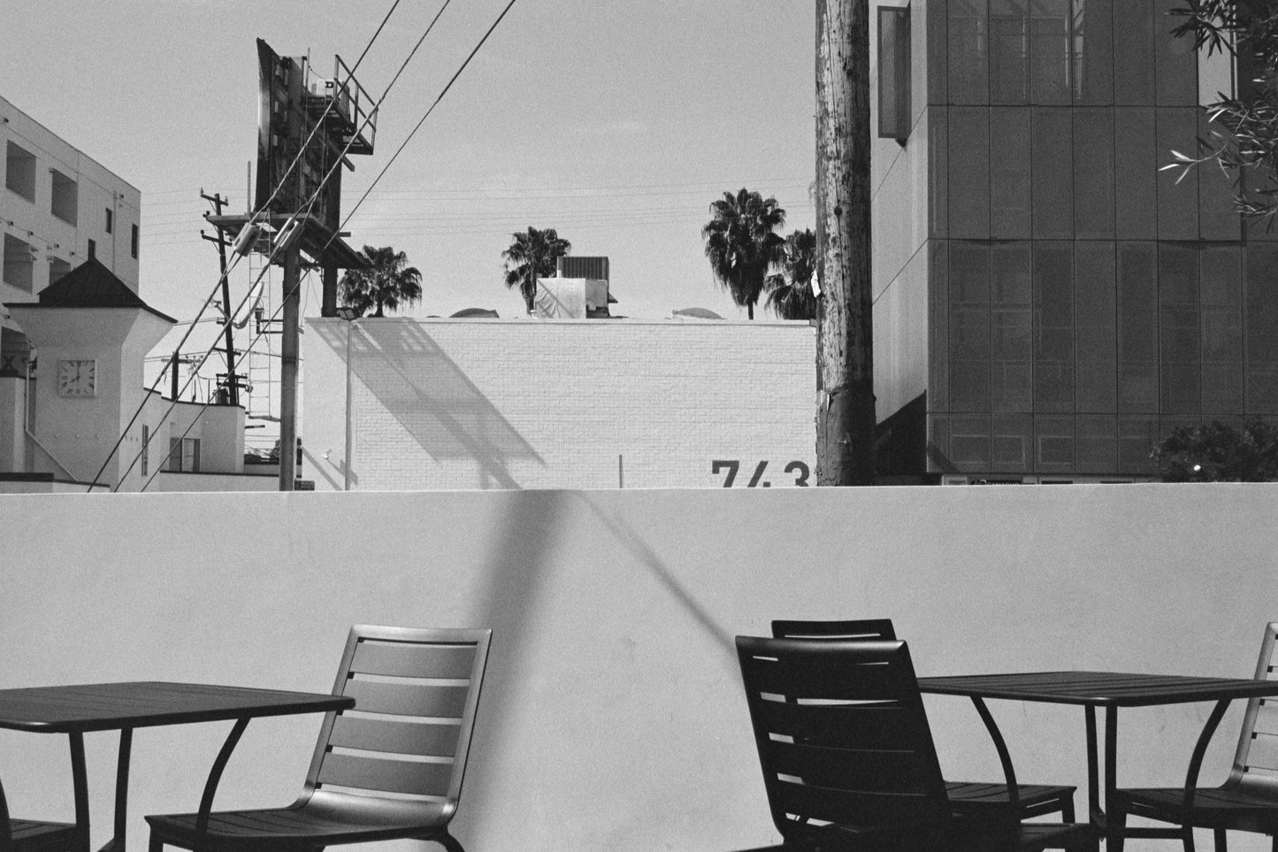 B&W Film Develop + Scan [35mm & 120]