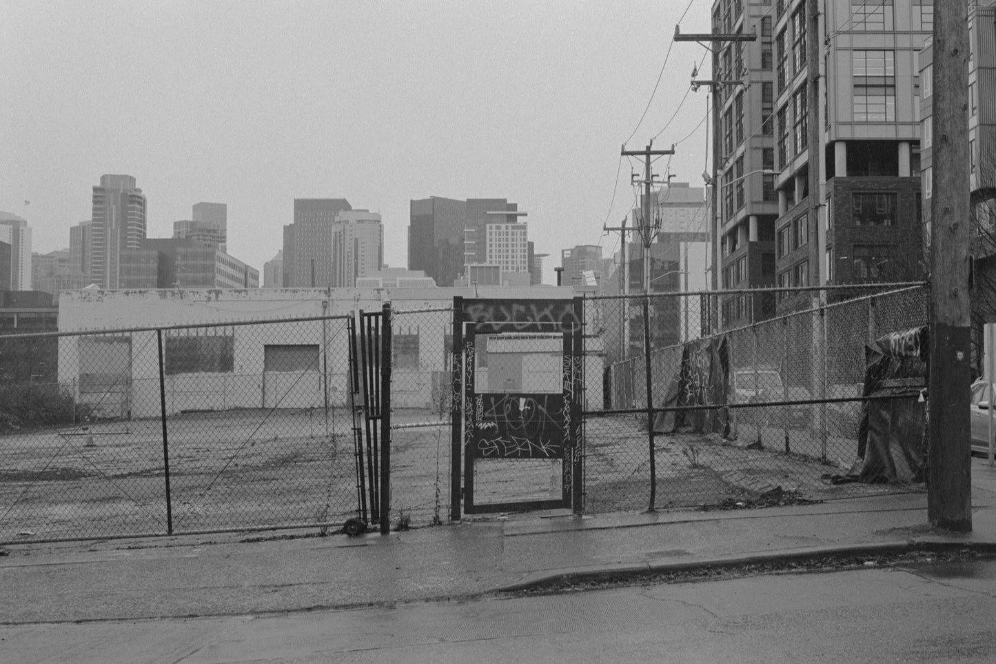 Kodak Tri-X 400 Black and White Film