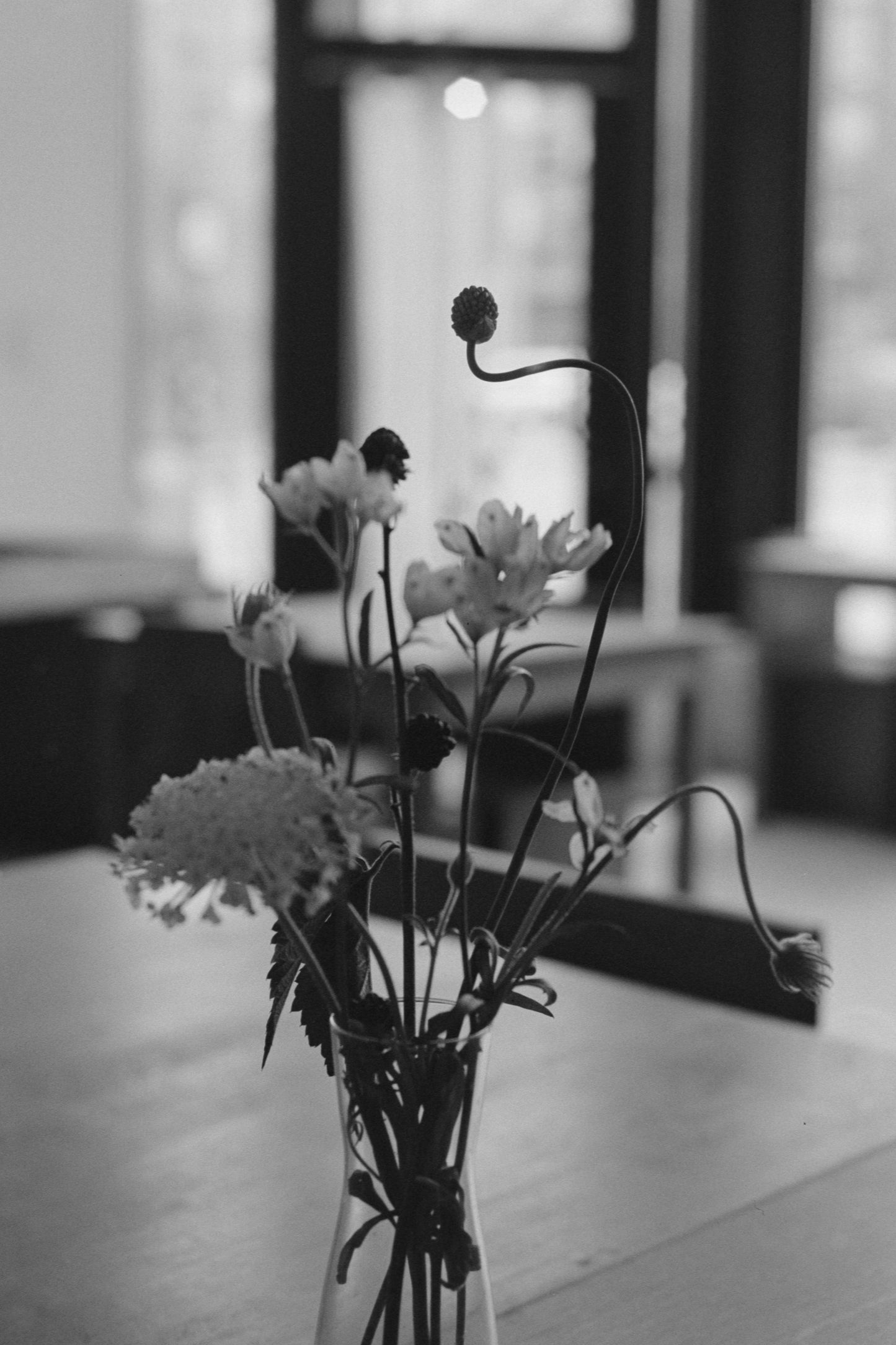 Kodak Tri-X 400 120 Black and White Film