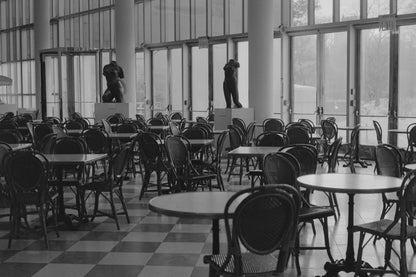 Kodak Tri-X 400 Black and White Film