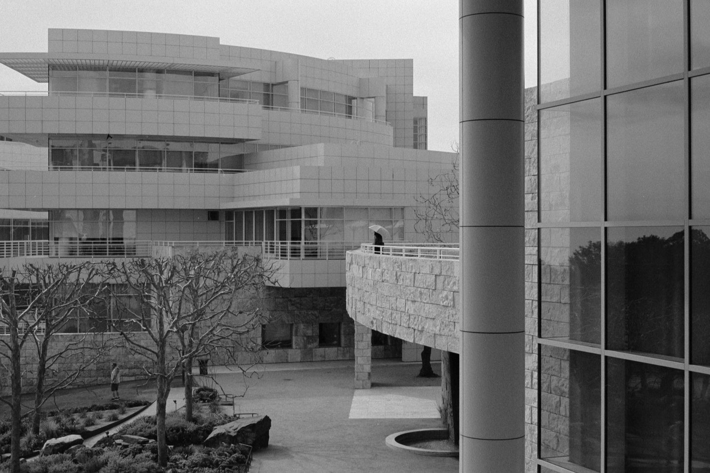 Kodak Tri-X 400 Black and White Film