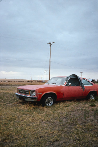 Kodak Ektacolor Pro 400 Color Negative Film (120 Roll Film, Per Roll)