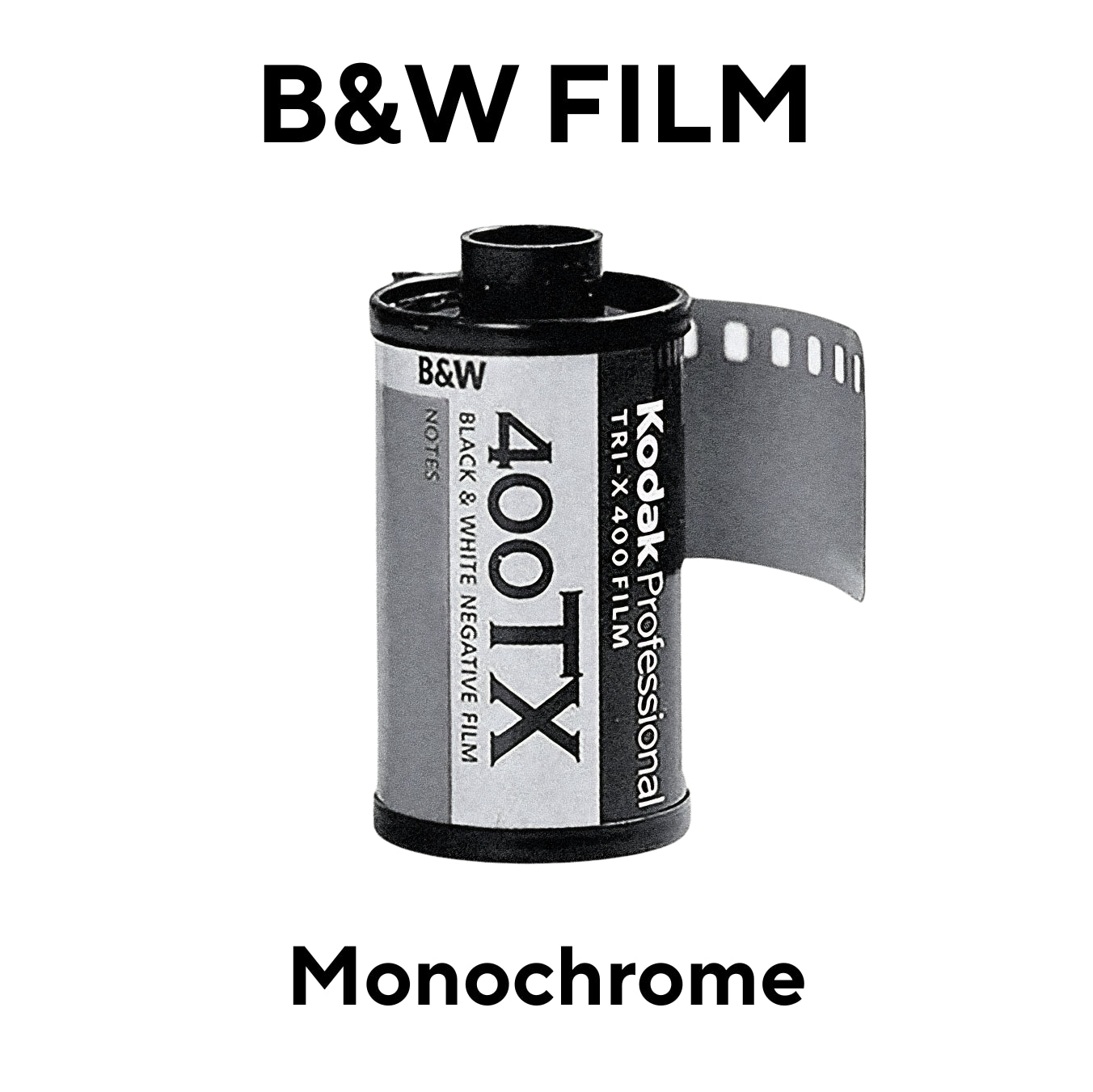 B&W Film Develop + Scan [35mm & 120]