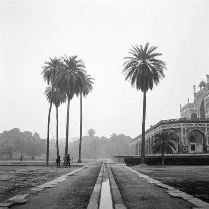 HP5 Plus 400 Black and White Negative 120 Film