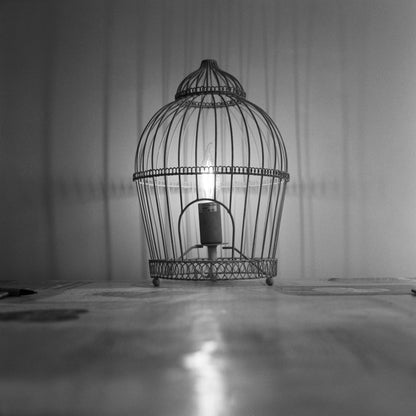 HP5 Plus 400 Black and White Negative 120 Film
