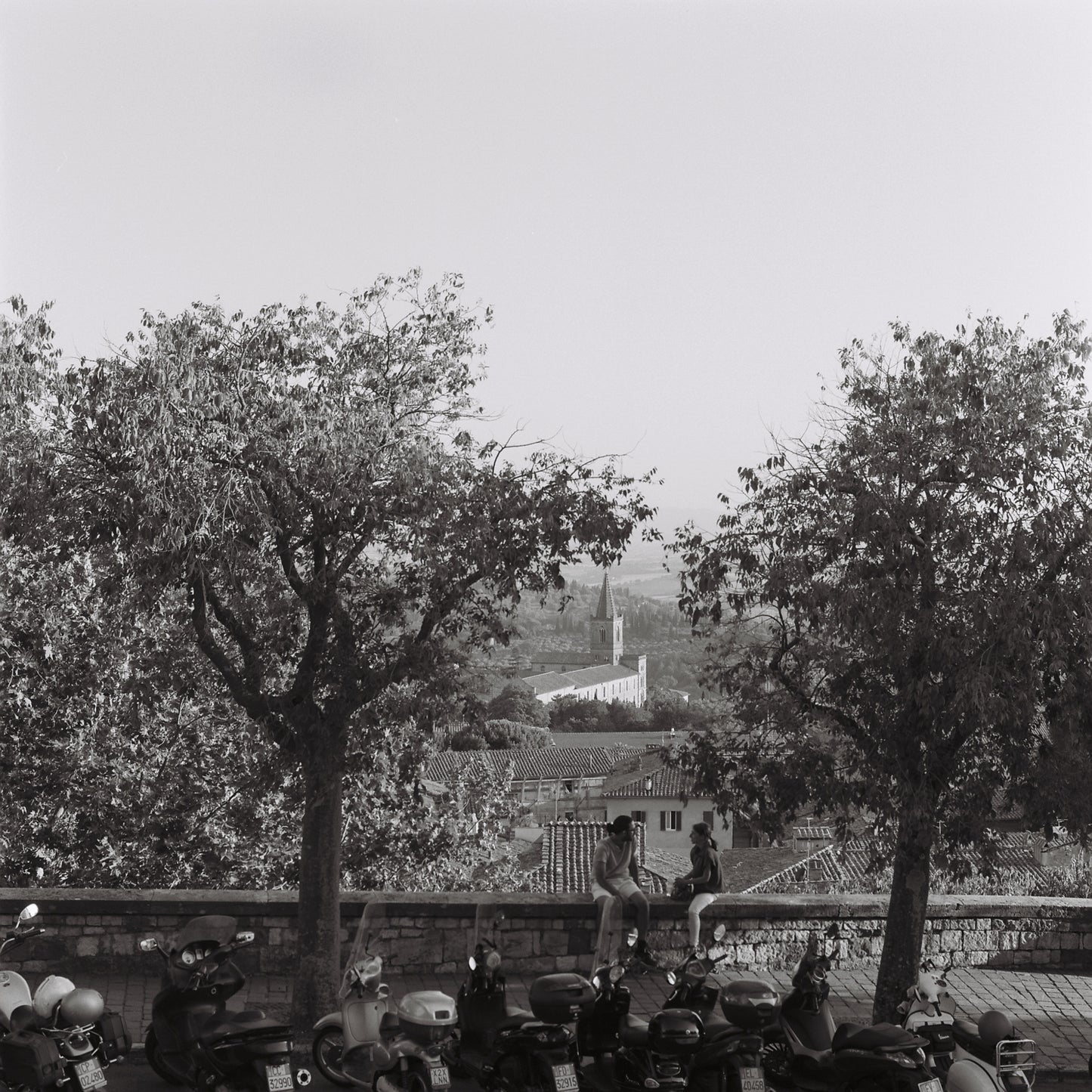 B&W Film Develop + Scan [35mm & 120]