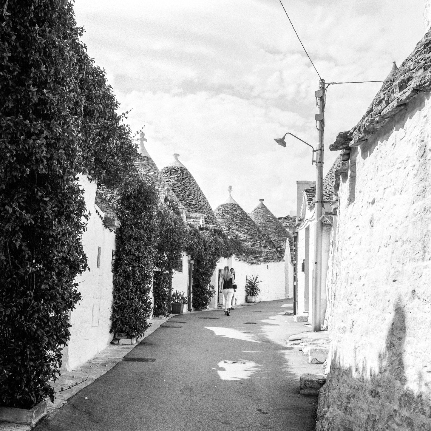 Kentmere Pan 400 Black & White Negative Film (35mm Roll Film Exposures )
