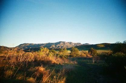 Kodak Ultra Max 400 35mm Color Film