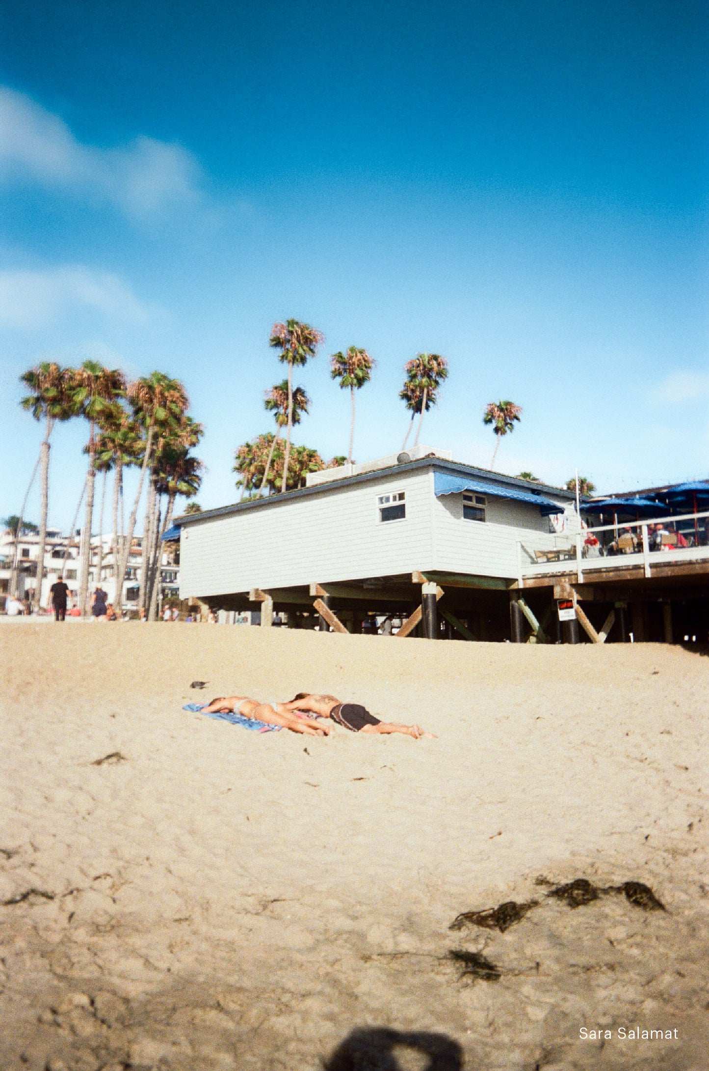 Disposable Camera Processing