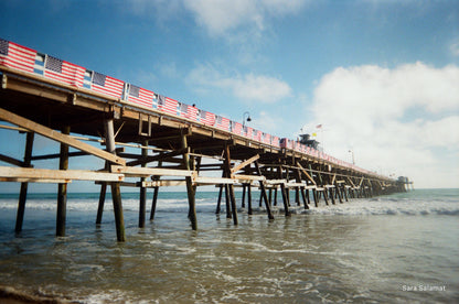 Disposable Camera Processing