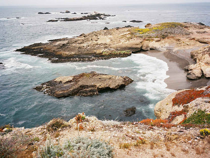 Kodak Ektacolor Pro 160 Color Negative Film (35mm Roll Film, 36 Exposures)