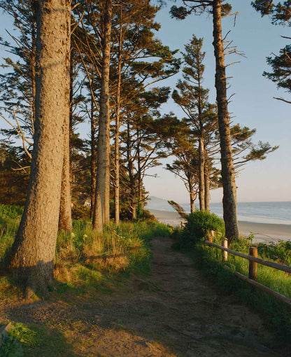 Kodak Ektacolor Pro 800 Color Negative Film (35mm Roll Film, 36 Exposures)