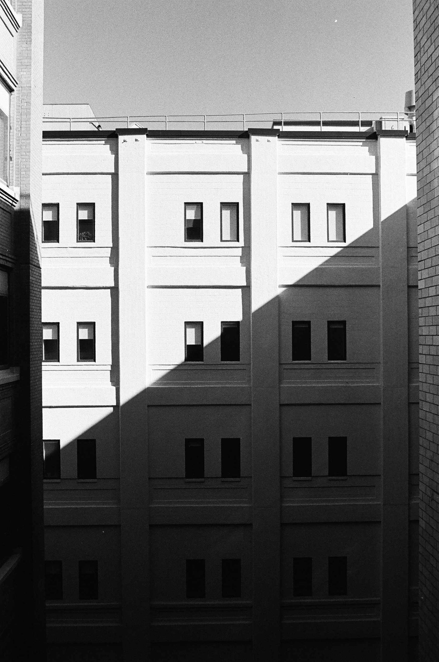 Kodak Tri-X 400 Black and White Film