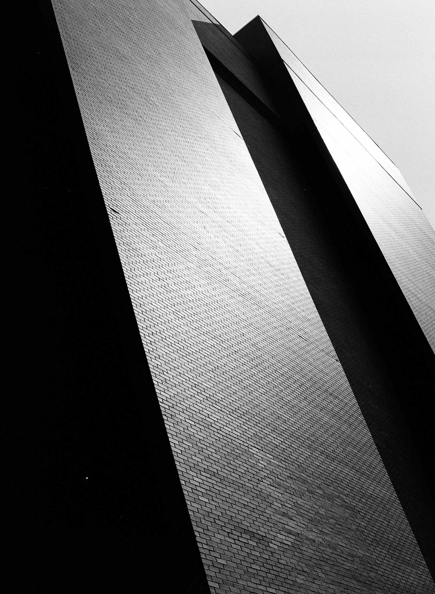B&W Film Develop + Scan [35mm & 120]