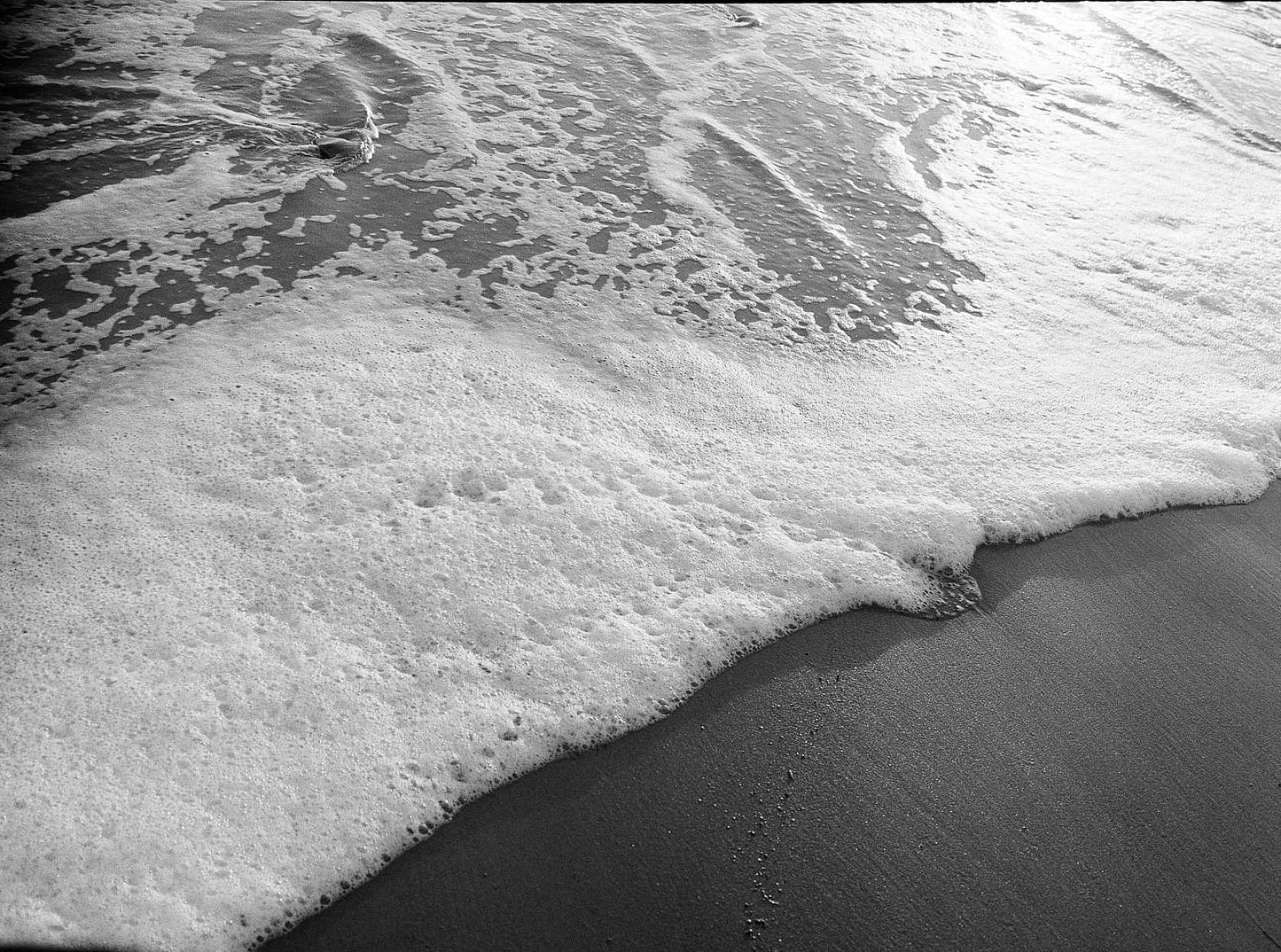 Kodak Tri-X 400 120 Black and White Film
